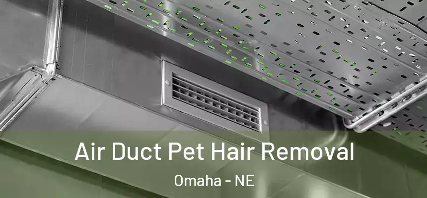 Air Duct Pet Hair Removal Omaha - NE