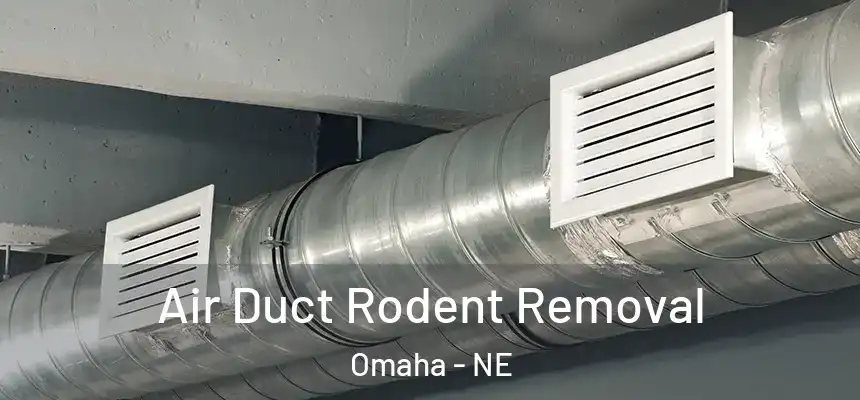 Air Duct Rodent Removal Omaha - NE