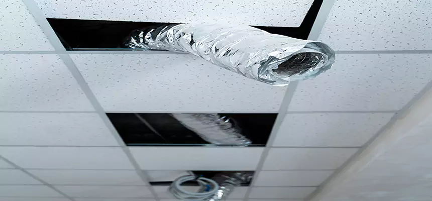 Our Air Duct Pet Hair Removal Services in Omaha, NE