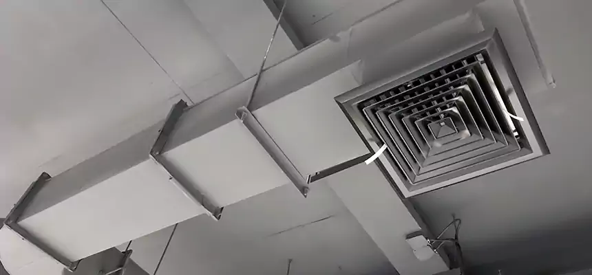 Our Pest Removal From Ducts Services in Omaha, NE