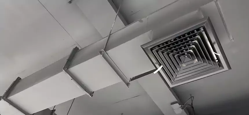 Our Rodent Droppings In Vents Services in Omaha, NE