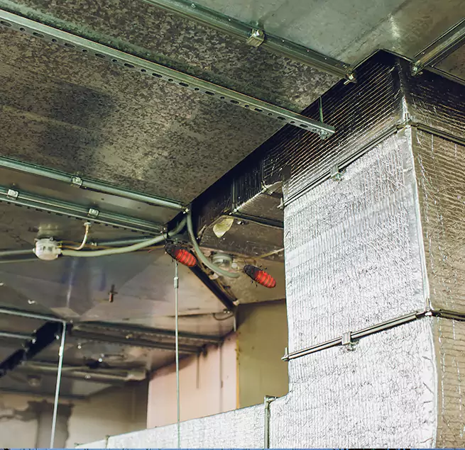 Why Homeowners & Businesses Trust Us Omaha, NE?