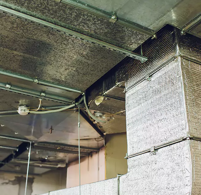 Why Homeowners & Businesses Trust Us in Omaha, NE?